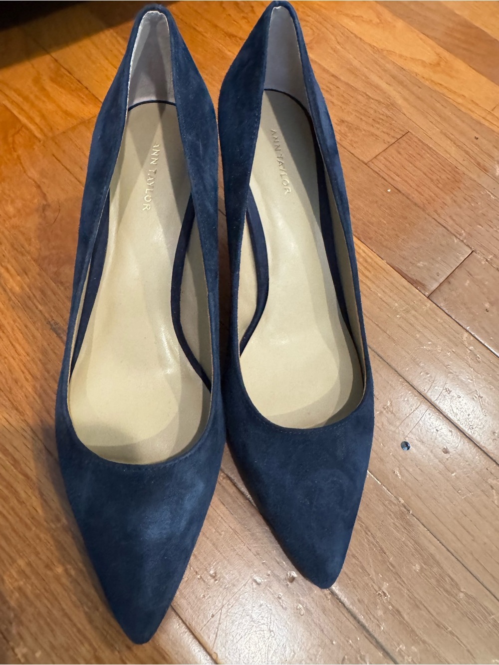 Ann Taylor Navy Suede Pointed Toe Pumps